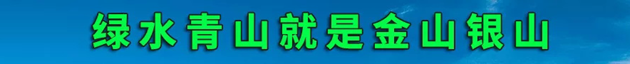 首页短横幅